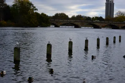 DSC_0523 (Large).JPG